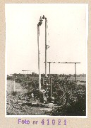41021