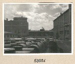 50004