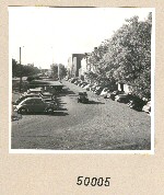 50005