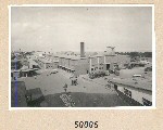 50006