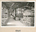 50013