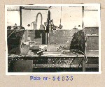 54033